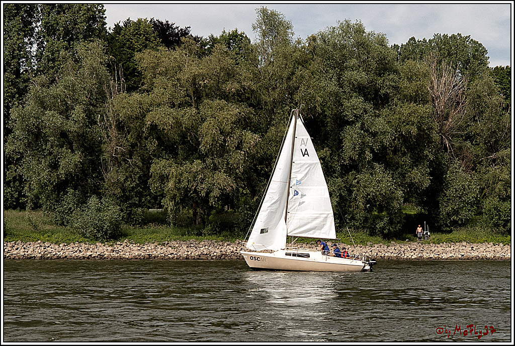 100 Jahre Rheinwoche 2022 - 2. Wettfahrt  Hitdorf - Duesseldorf, 03.06.2022,